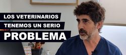 Entrevista