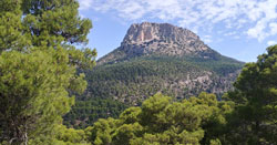 Metafrica y real Sierra Espua