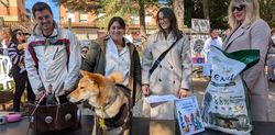 Concurso de disfraces de mascotas