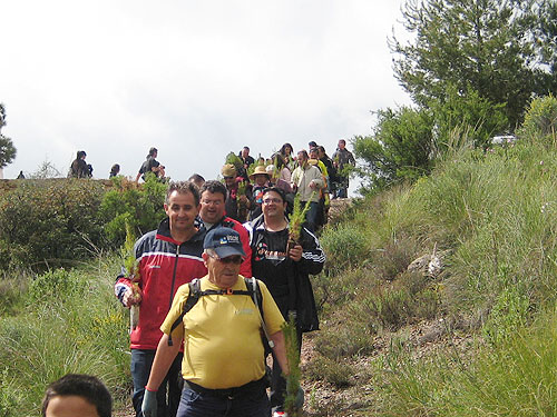 LA PB TOTANA PARTICIPA EN UNA JORNADA DE REPOBLACION DE PINOS